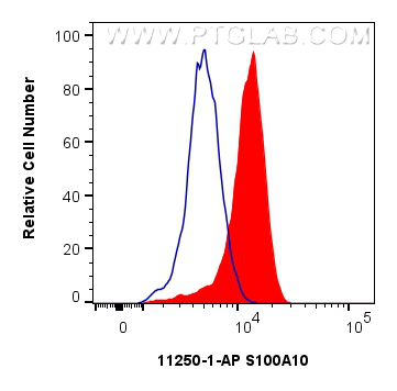 Flow cytometry (FC) experiment of HeLa cells using S100A10 Polyclonal antibody (11250-1-AP)