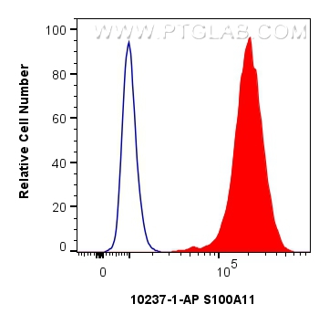 Flow cytometry (FC) experiment of PC-3 cells using S100A11 Polyclonal antibody (10237-1-AP)