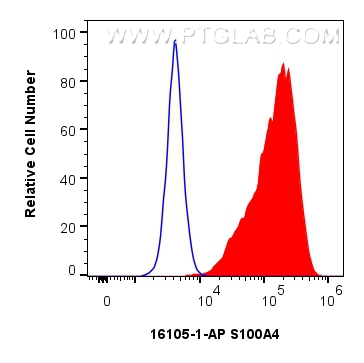 Flow cytometry (FC) experiment of HeLa cells using FSP1/S100A4 Polyclonal antibody (16105-1-AP)