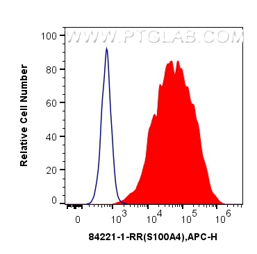 Flow cytometry (FC) experiment of HeLa cells using S100A4 Recombinant antibody (84221-1-RR)