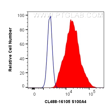 Flow cytometry (FC) experiment of HeLa cells using CoraLite® Plus 488-conjugated S100A4 Polyclonal an (CL488-16105)