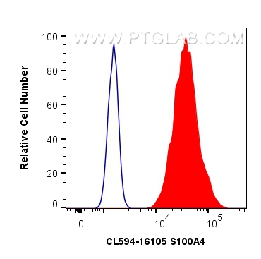 Flow cytometry (FC) experiment of HeLa cells using CoraLite®594-conjugated S100A4 Polyclonal antibody (CL594-16105)