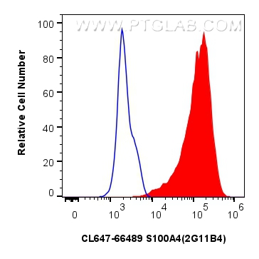 Flow cytometry (FC) experiment of HeLa cells using CoraLite® Plus 647-conjugated FSP1/S100A4 Monoclon (CL647-66489)