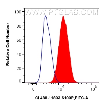 Flow cytometry (FC) experiment of SK-MEL-28 cells using CoraLite® Plus 488-conjugated S100P Polyclonal ant (CL488-11803)