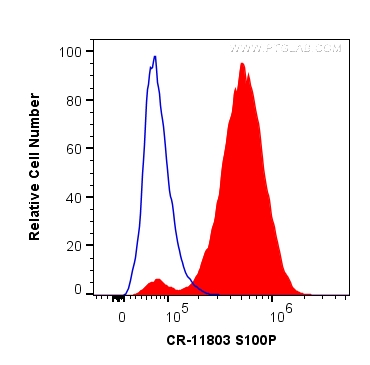 Flow cytometry (FC) experiment of HepG2 cells using Cardinal Red™-conjugated S100P Polyclonal antibody (CR-11803)