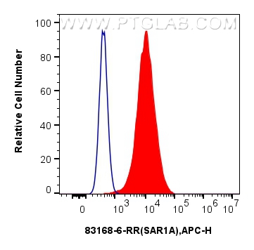 Flow cytometry (FC) experiment of A549 cells using SAR1A Recombinant antibody (83168-6-RR)