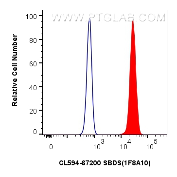 Flow cytometry (FC) experiment of HeLa cells using CoraLite®594-conjugated SBDS Monoclonal antibody (CL594-67200)