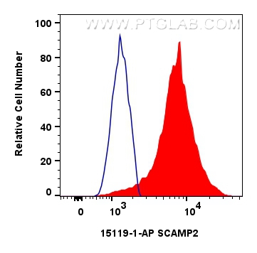 Flow cytometry (FC) experiment of HEK-293 cells using SCAMP2 Polyclonal antibody (15119-1-AP)