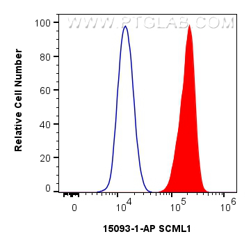 Flow cytometry (FC) experiment of A549 cells using SCML1 Polyclonal antibody (15093-1-AP)