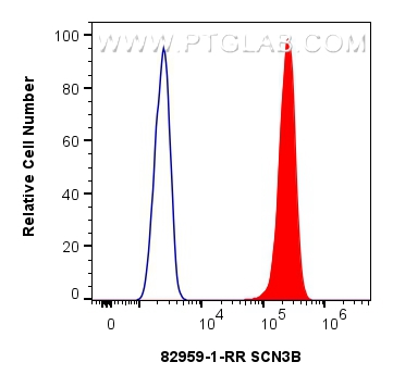 SCN3B