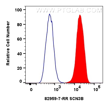 SCN3B