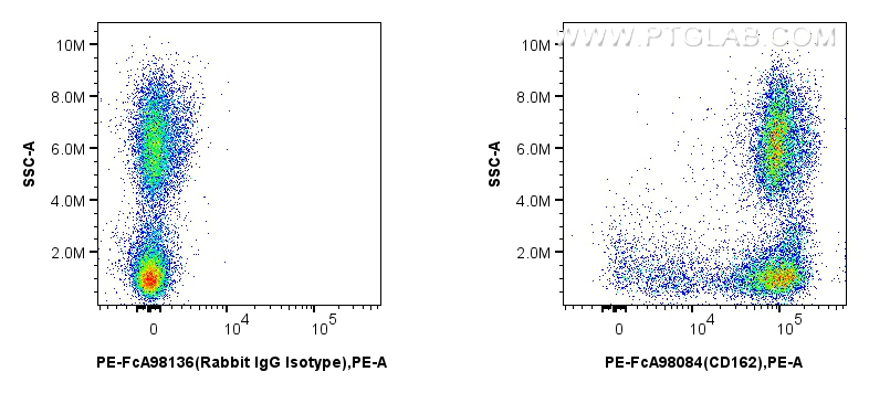 Flow cytometry (FC) experiment of human peripheral blood leukocyte using FcZero-rAb™ PE Anti-Human SELPLG/CD162 Rabbit Reco (PE-FcA98084)