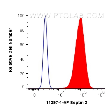 Flow cytometry (FC) experiment of MCF-7 cells using Septin 2 Polyclonal antibody (11397-1-AP)