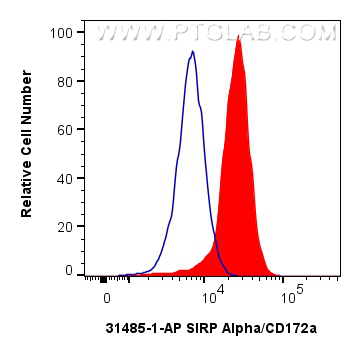 Flow cytometry (FC) experiment of THP-1 cells using SIRP Alpha/CD172a Polyclonal antibody (31485-1-AP)