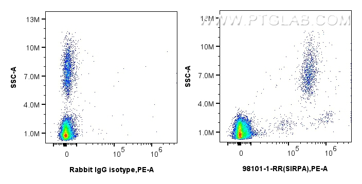 Flow cytometry (FC) experiment of human peripheral blood leukocytes using Anti-Human SIRP Alpha/CD172a Rabbit Recombinant An (98101-1-RR)