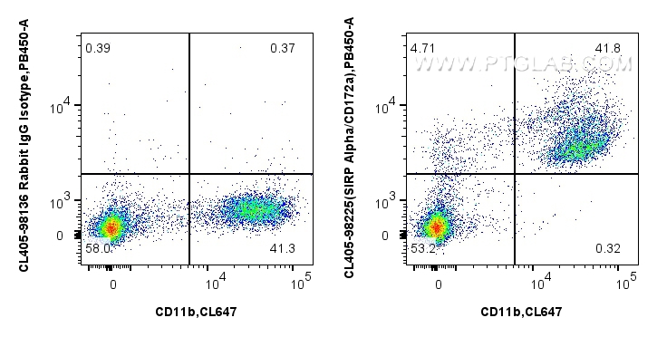 Flow cytometry (FC) experiment of mouse bone marrow cells using CoraLite® Plus 405 Anti-Mouse SIRP Alpha/CD172a Ra (CL405-98225)