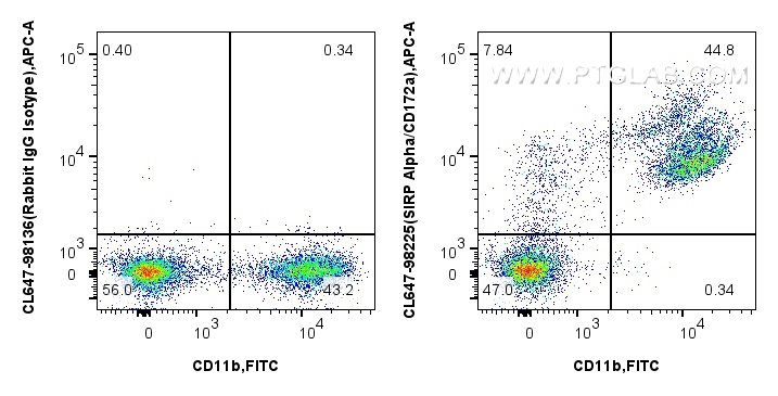 Flow cytometry (FC) experiment of mouse bone marrow cells using CoraLite® Plus 647 Anti-Mouse SIRP Alpha/CD172a Ra (CL647-98225)