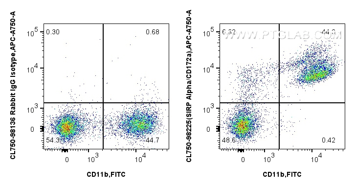 Flow cytometry (FC) experiment of mouse bone marrow cells using CoraLite® Plus 750 Anti-Mouse SIRP Alpha/CD172a Ra (CL750-98225)