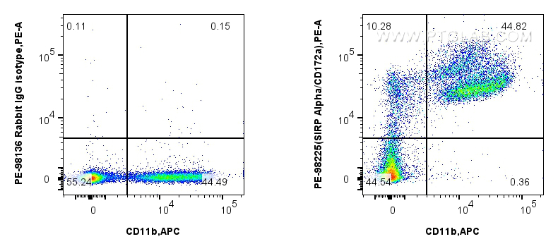 Flow cytometry (FC) experiment of mouse bone marrow cells using PE Anti-Mouse SIRP Alpha/CD172a Rabbit Recombinant (PE-98225)