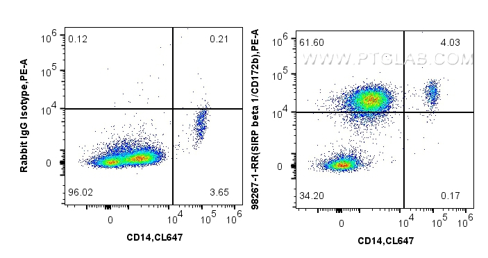 Flow cytometry (FC) experiment of human peripheral blood leukocytes using Anti-Human SIRP beta 1/CD172b Rabbit Recombinant A (98267-1-RR)