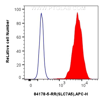 Flow cytometry (FC) experiment of HT-29 cells using SLC7A5 Recombinant antibody (84178-5-RR)