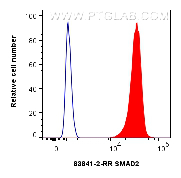 Flow cytometry (FC) experiment of Jurkat cells using SMAD2 Recombinant antibody (83841-2-RR)