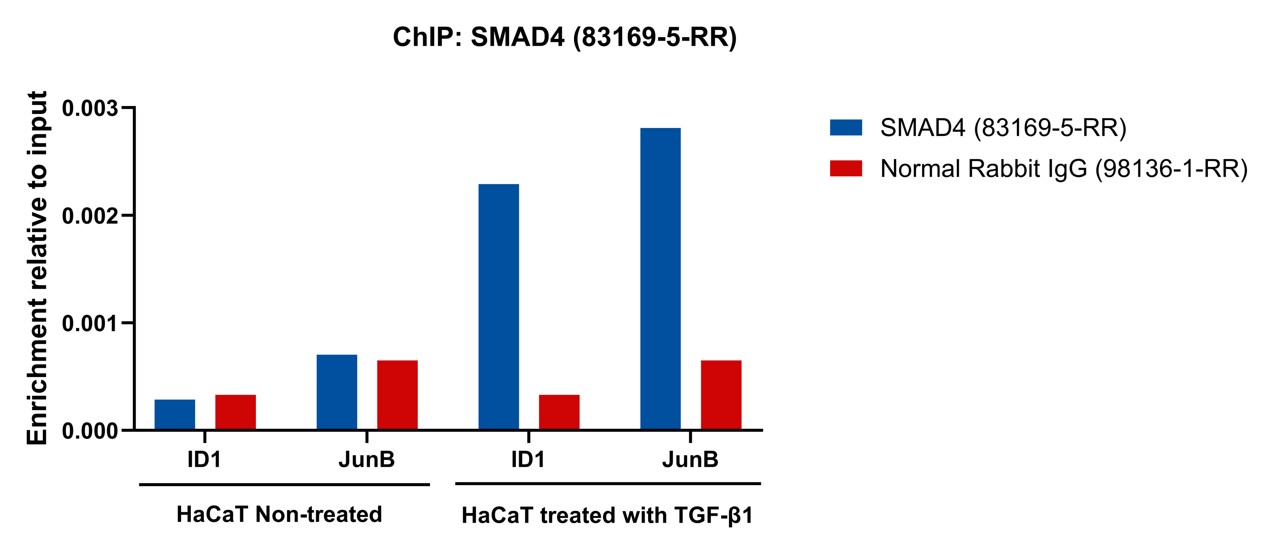 ChIP experiment of HaCaT cells using SMAD4 Recombinant antibody (83169-5-RR)
