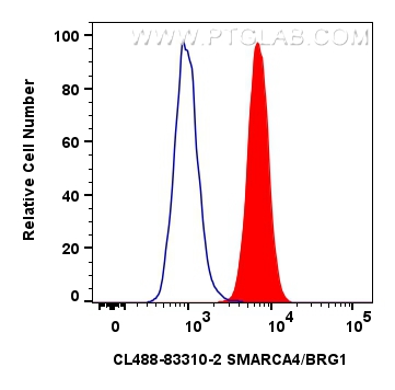 Flow cytometry (FC) experiment of A549 cells using CoraLite® Plus 488-conjugated SMARCA4/BRG1 Recombi (CL488-83310-2)