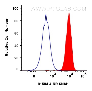 Flow cytometry (FC) experiment of A549 cells using SNAI1 Recombinant antibody (81584-4-RR)