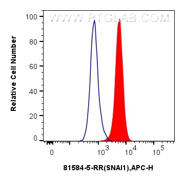 Flow cytometry (FC) experiment of A549 cells using SNAI1 Recombinant antibody (81584-5-RR)