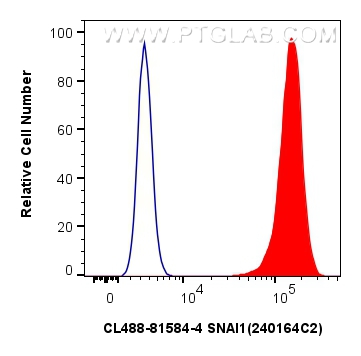 Flow cytometry (FC) experiment of HeLa cells using CoraLite® Plus 488-conjugated SNAI1 Recombinant an (CL488-81584-4)