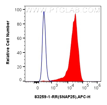 Flow cytometry (FC) experiment of SH-SY5Y cells using SNAP25 Recombinant antibody (83259-1-RR)