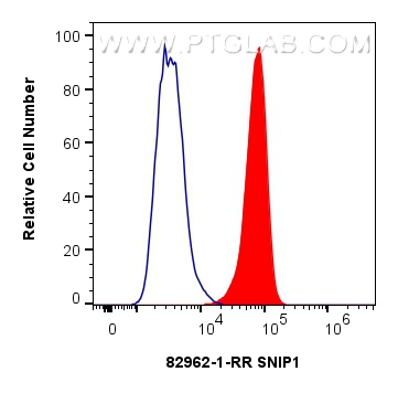 Flow cytometry (FC) experiment of U2OS cells using SNIP1 Recombinant antibody (82962-1-RR)