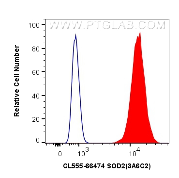 Flow cytometry (FC) experiment of HeLa cells using CoraLite®555-conjugated SOD2 Monoclonal antibody (CL555-66474)