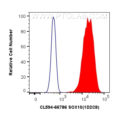 Flow cytometry (FC) experiment of C6 cells using CoraLite®594-conjugated SOX10 Monoclonal antibody (CL594-66786)