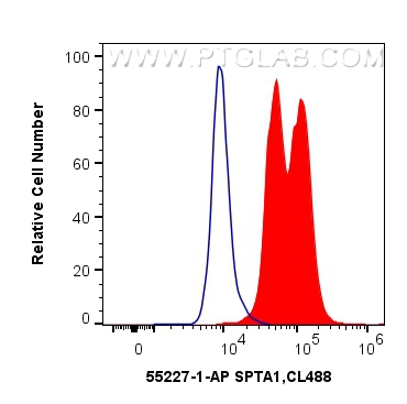 Flow cytometry (FC) experiment of K-562 cells using SPTA1 Polyclonal antibody (55227-1-AP)