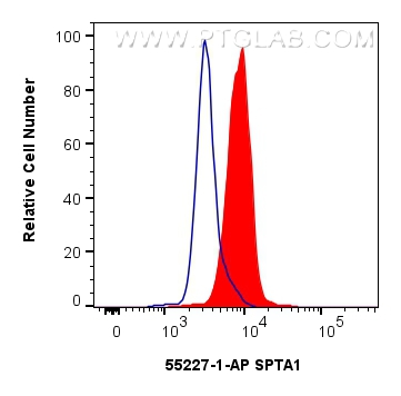 Flow cytometry (FC) experiment of K-562 cells using SPTA1 Polyclonal antibody (55227-1-AP)