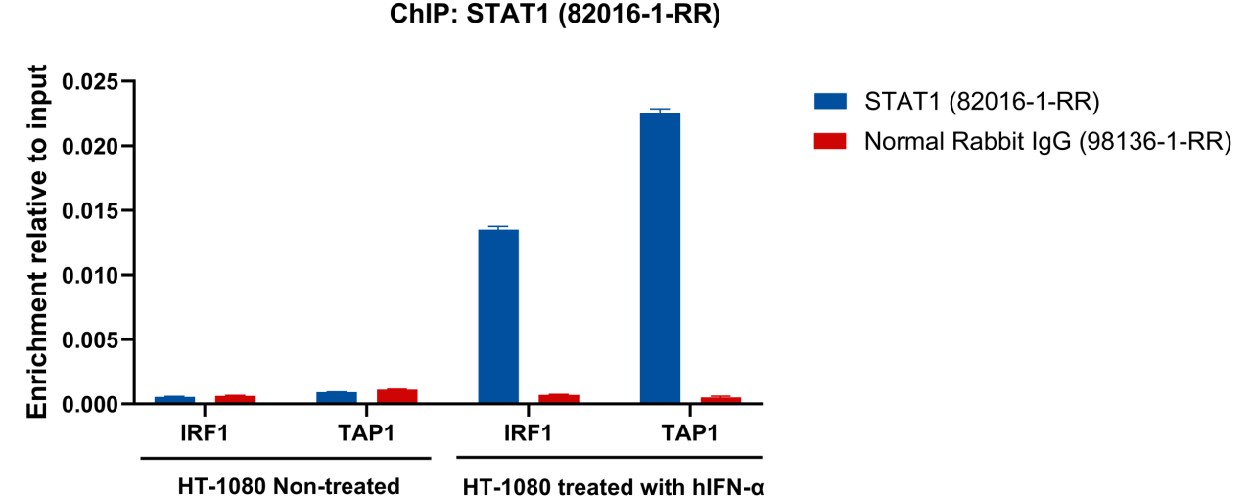 ChIP experiment of HT-1080 cells using STAT1 Recombinant antibody (82016-1-RR)