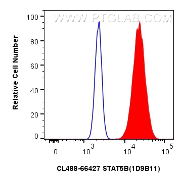 Flow cytometry (FC) experiment of HeLa cells using CoraLite® Plus 488-conjugated STAT5B Monoclonal an (CL488-66427)