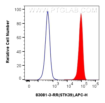 Flow cytometry (FC) experiment of Daudi cells using STK39 Recombinant antibody (83081-3-RR)