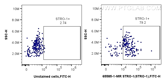 Flow cytometry (FC) experiment of human blood using Anti-Human STRO-1 (STRO-1) Mouse IgG2a Recombinant (65585-1-MR)