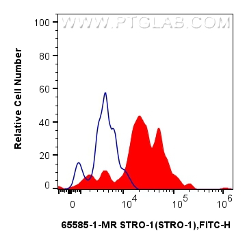 Flow cytometry (FC) experiment of human blood using Anti-Human STRO-1 (STRO-1) Mouse IgG2a Recombinant (65585-1-MR)