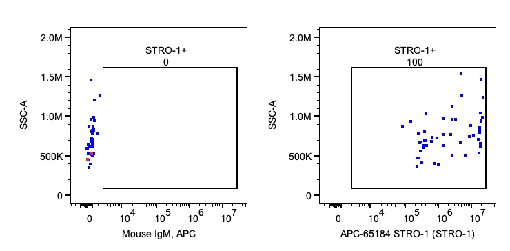 Flow cytometry (FC) experiment of human PBMCs using APC Anti-Human STRO-1 (STRO-1) (APC-65184)
