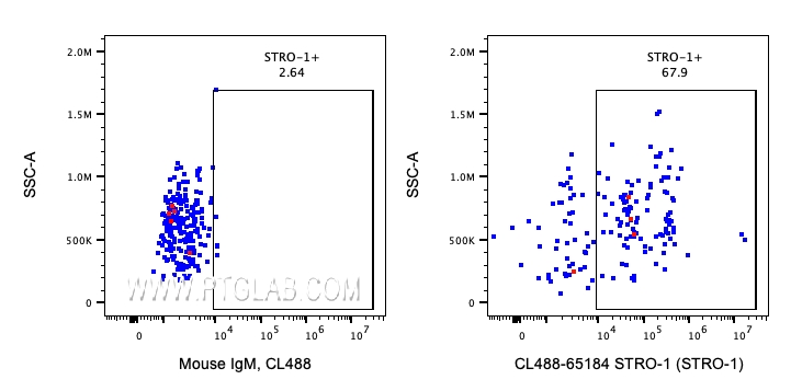 Flow cytometry (FC) experiment of human peripheral blood platelets using CoraLite® Plus 488 Anti-Human STRO-1 (STRO-1) (CL488-65184)