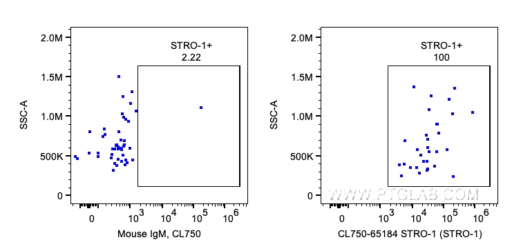 Flow cytometry (FC) experiment of Human PBMCs using CoraLite® Plus 750 Anti-Human STRO-1 (STRO-1) (CL750-65184)