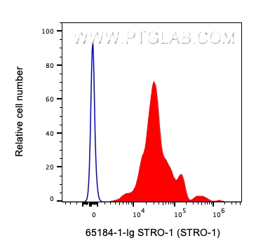 Flow cytometry (FC) experiment of human blood using Anti-Human STRO-1 (STRO-1) (65184-1-Ig)