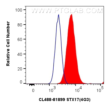 Flow cytometry (FC) experiment of HepG2 cells using CoraLite® Plus 488-conjugated STX17 Recombinant an (CL488-81899)