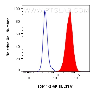 Flow cytometry (FC) experiment of HepG2 cells using SULT1A1 Polyclonal antibody (10911-2-AP)