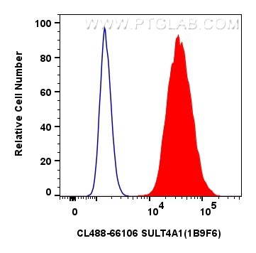 Flow cytometry (FC) experiment of SH-SY5Y cells using CoraLite® Plus 488-conjugated SULT4A1 Monoclonal a (CL488-66106)