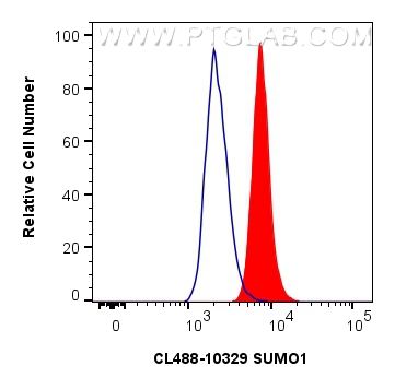 Flow cytometry (FC) experiment of A549 cells using CoraLite® Plus 488-conjugated SUMO1 Polyclonal ant (CL488-10329)